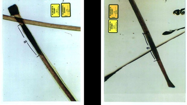 Theresa Fusco evidence 