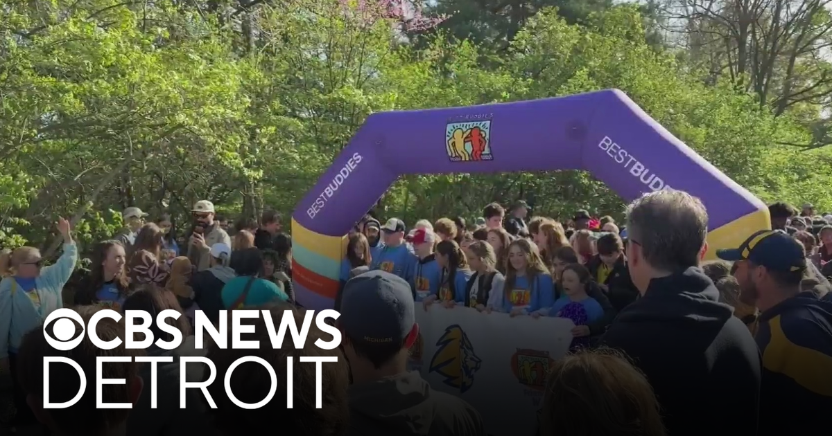 1,000+ attend walk in support of Michigan nonprofit
