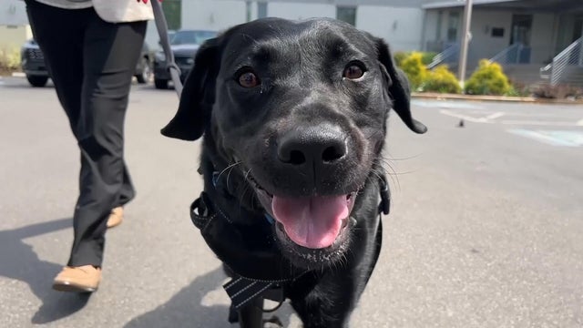 Cache Philadelphia Police Department 