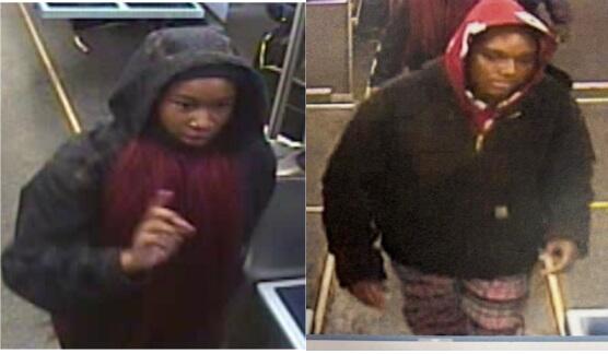 Police search for robbers who attacked woman on CTA Red Line along Dan ...