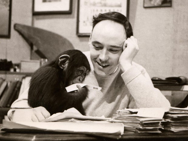 Desmond Morris 