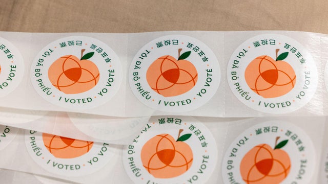 Early voting in Gwinnett County, USA 