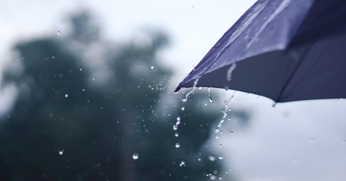 Severe weather alerts issued as storms roll across Minnesota Friday. See latest forecast.