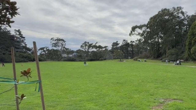 a grass field with trees in the background 