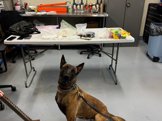 k-9-tarrant-county-drug-bust.jpg 
