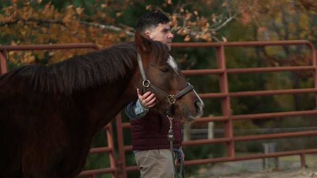 horse-therapy.jpg 
