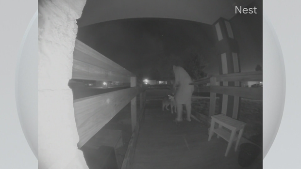 nest-camera-andrew-beckham.png 