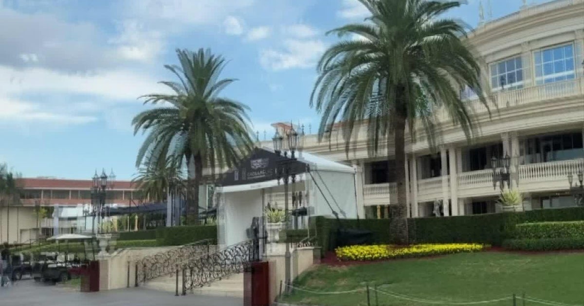 Family-friendly fan experience at Cadillac Championship to deliver good fun this weekend