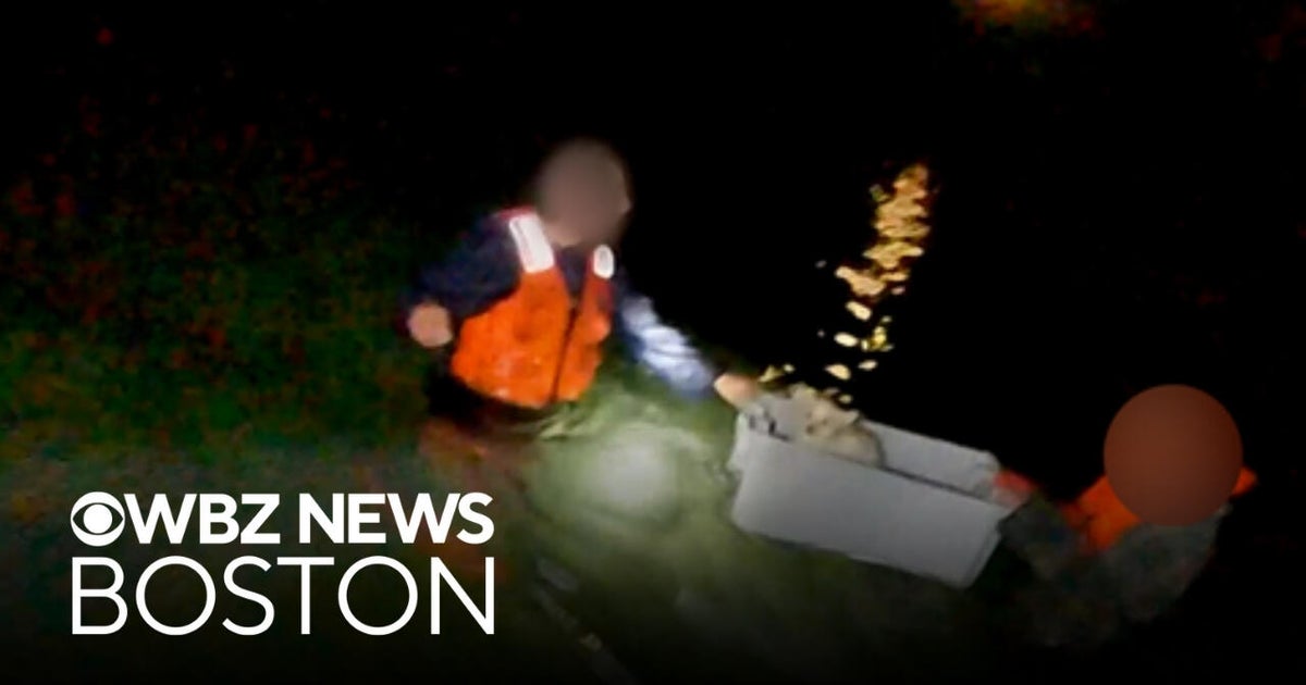 2 men, dog rescued after sailboat ran aground in frigid Essex River in Massachusetts