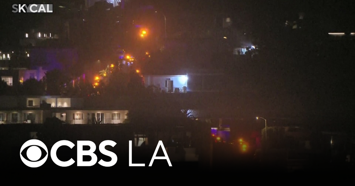Los Angeles police detain crowd near Hollywood Hills homes