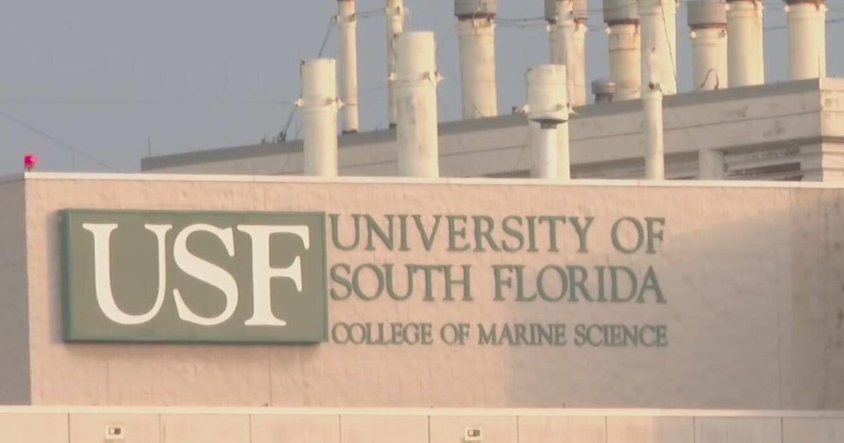 Fire erupts on University of South Florida campus in St. Petersburg
