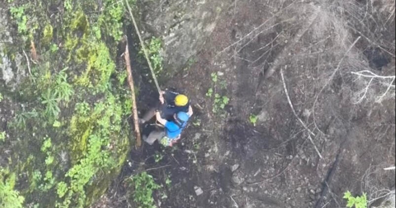 Video shows man’s rescue after falling under bridge in Washington state