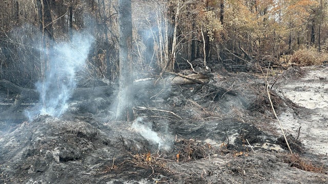 US Wildfires 