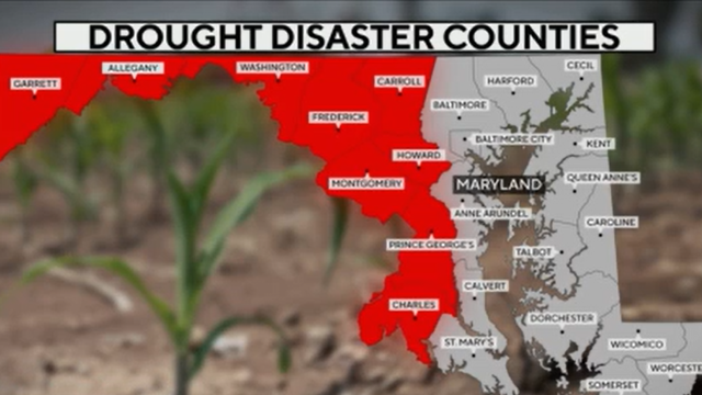 drought.png 