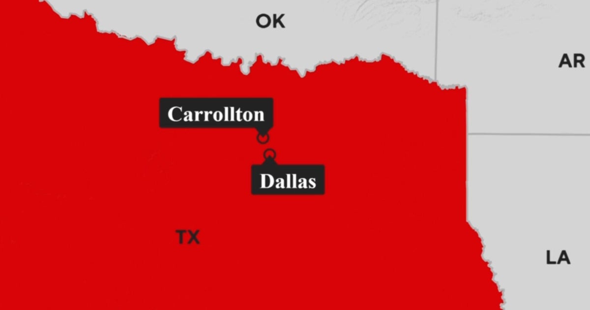 Two killed in shooting at Dallas-area shopping center, suspect in custody