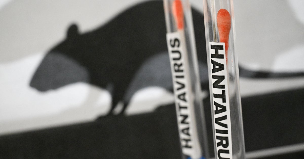 What is the hantavirus? And how prevalent is it in Minnesota?