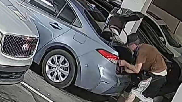cbsmiami-serial-burglar-1.jpg 
