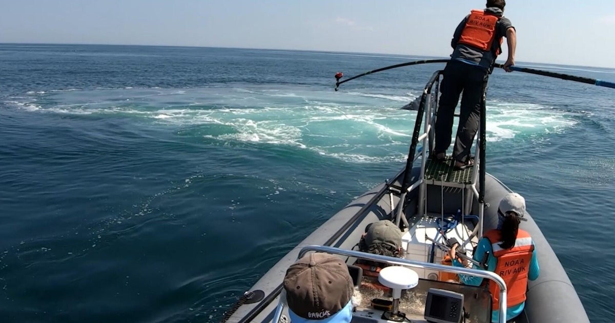 Mass. marine sanctuary features whale watching and historic shipwrecks
