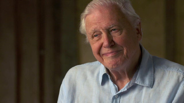 ot-coopersirdavidattenborough.jpg 