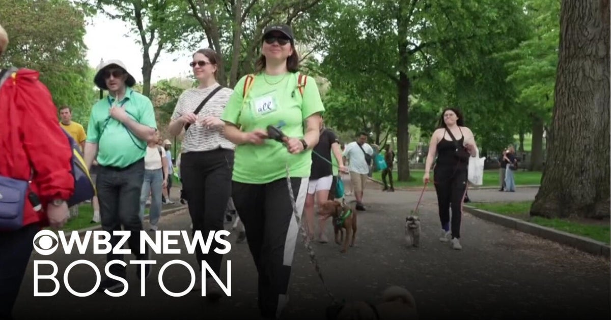 Raise awareness and understanding for mental health with 23rd annual NAMIWalks Massachusetts