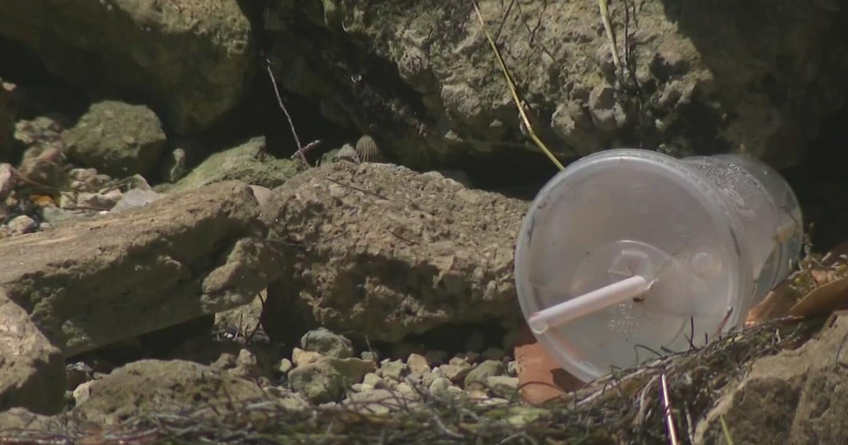 Brickell residents express frustration over people dumping trash into Biscayne Bay: