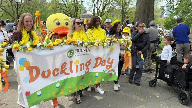 duckling.jpg 