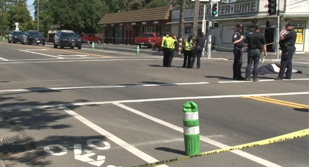 Santa Rosa fatal hit-and-run 