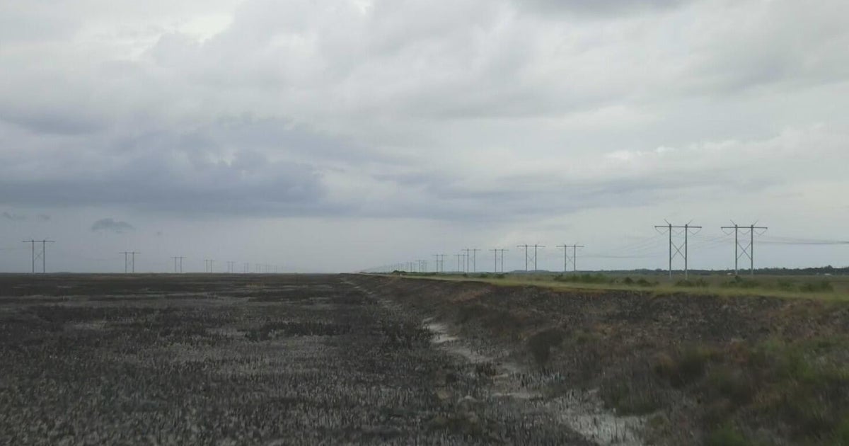 Max Road Fire is almost fully contained, but one Broward business is feeling the aftermath