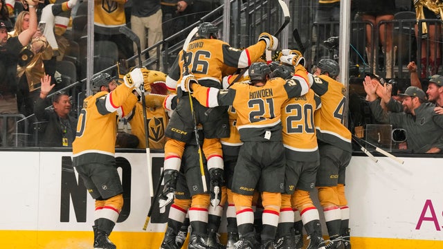 Ducks Golden Knights Hockey 