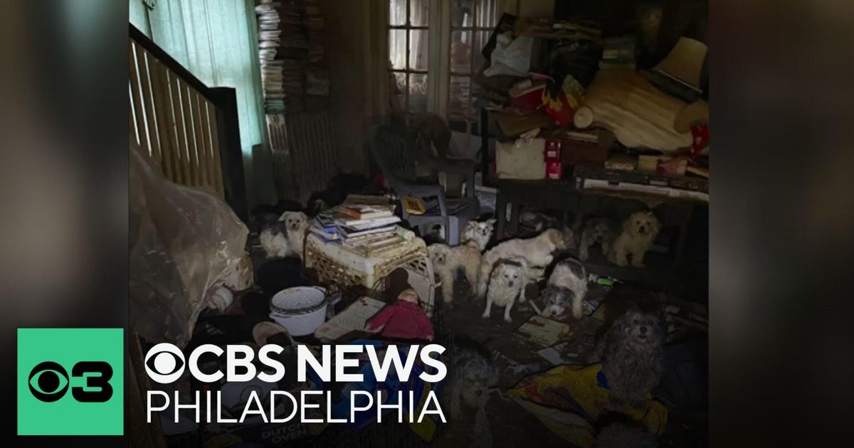 Dogs rescued from home in deplorable conditions in Delco: 