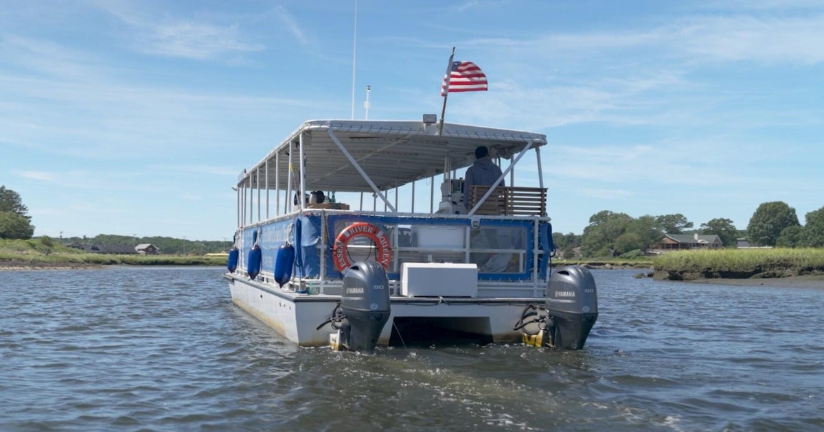 Cruise company offers front-row seat to beauty of the Great Marsh