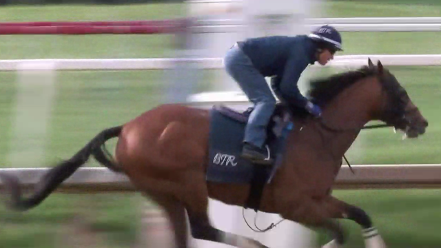 Taj Mahal Sheldon Russell Preakness 2026 Brittany Russell 