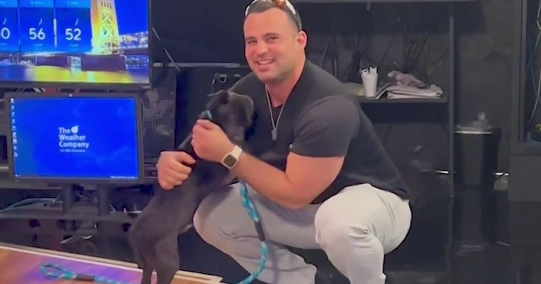 How meteorologist Nic Merianos adopted his dog Stormy during a live storm coverage