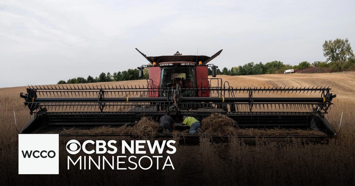 Farmers cautiously optimistic following Trump soybean deal