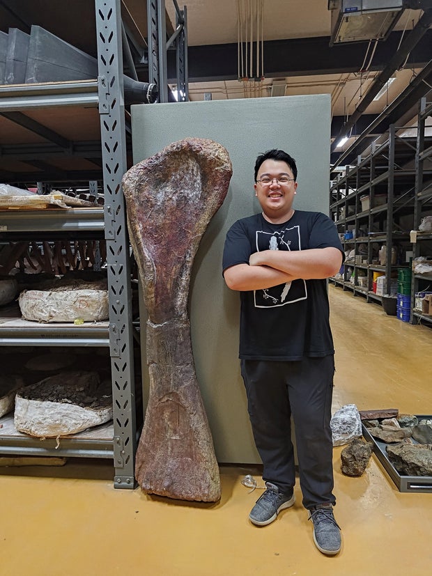 Meet Nagatitan, Southeast Asia's largest dinosaur 