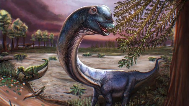 Meet Nagatitan, Southeast Asia's largest dinosaur 