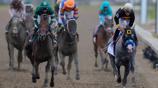 Iron Honor trains for the Preakness Stakes during morning workouts at Laurel Park, May 13, 2026, in Laurel, Maryland. 