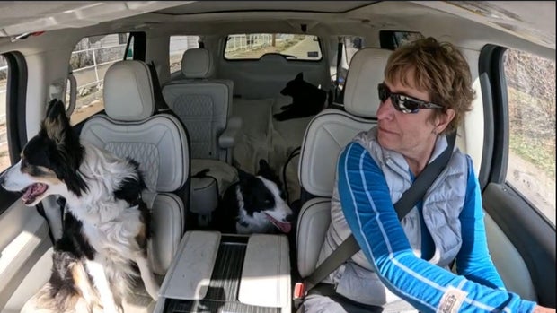Dr. Kim Lark with her trusted companions.