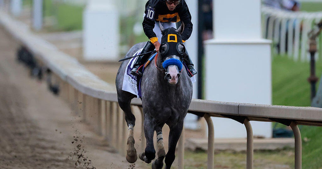 Napoleon Solo takes Preakness crown amid protests over horse racing