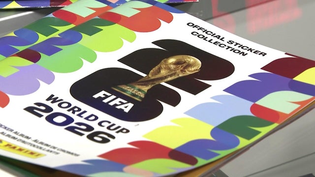 Panini World Cup sticker album 