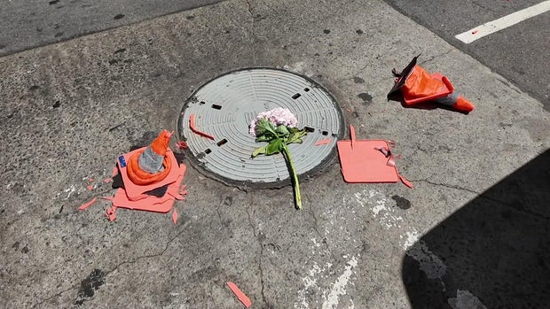 Flower and crushed traffic cones on manhole