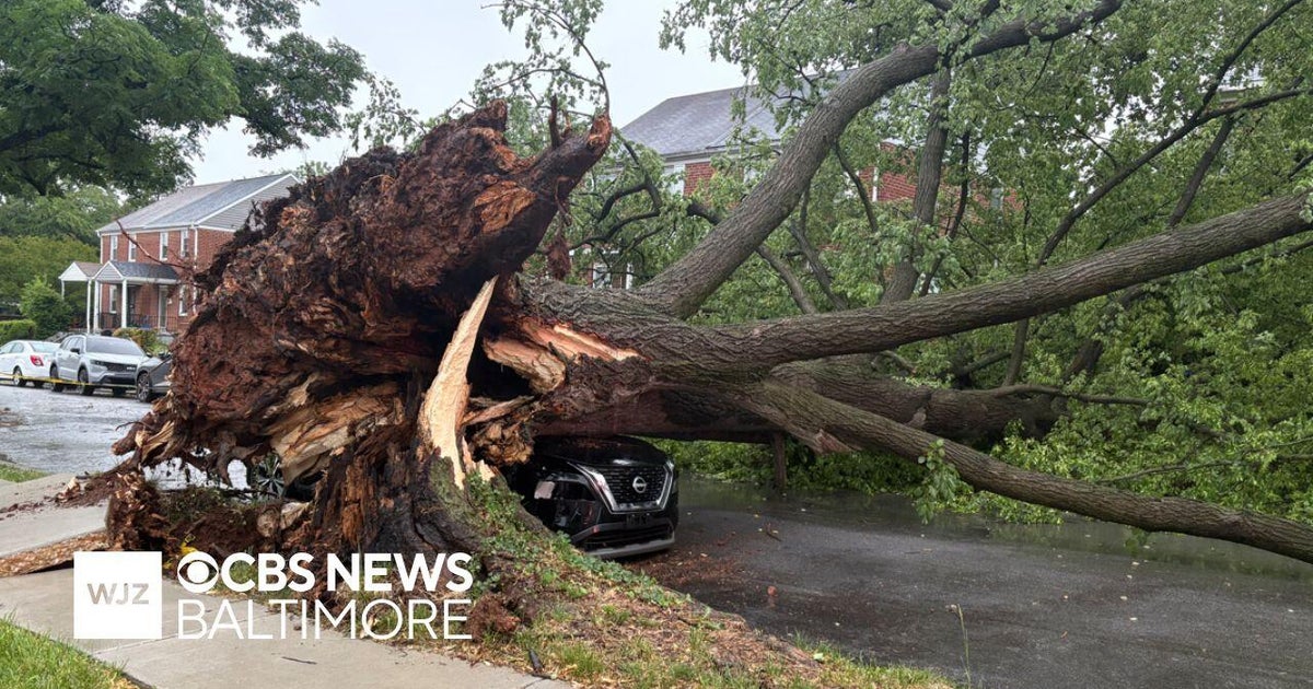 Maryland storms knock down trees, leave damage - CBS Baltimore
