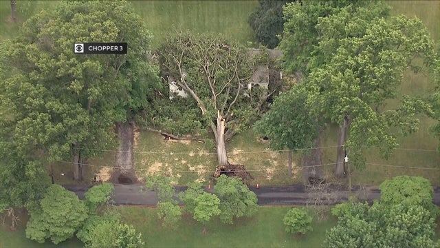 tree-damage-pottstown-pennsylvania.jpg 