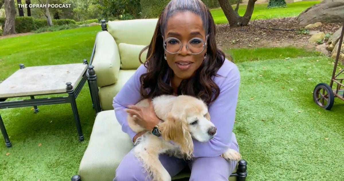 New miniseries highlights bond between dogs and their owners