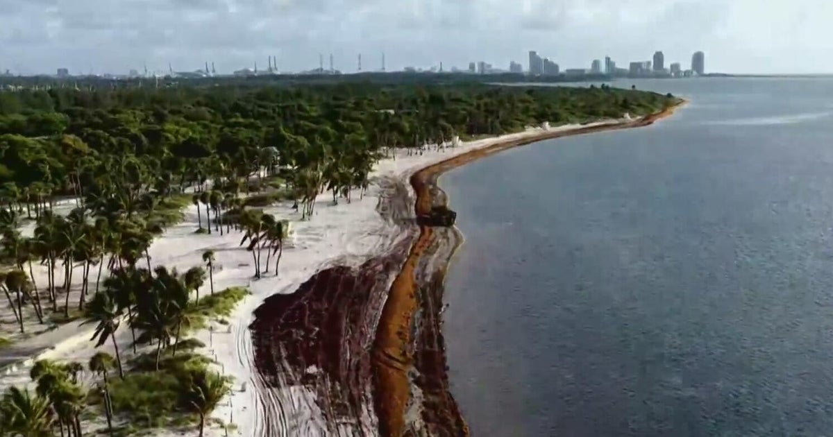 Bacteria showing possible fecal pollution at Key Biscayne beach prompts warning ahead of holiday