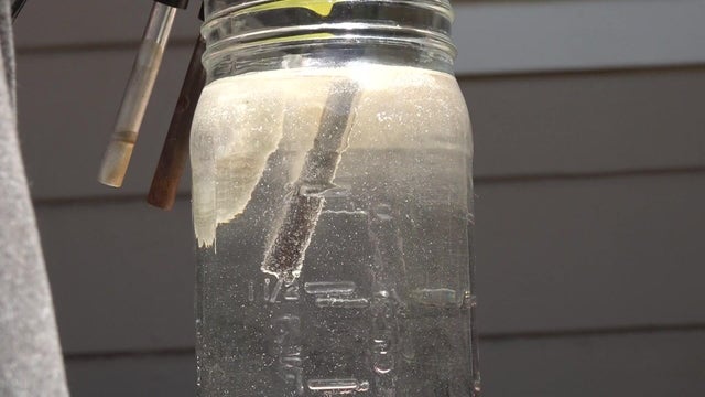 vv-nina-stockton-smelly-water-update-6pm-llvosot.jpg 