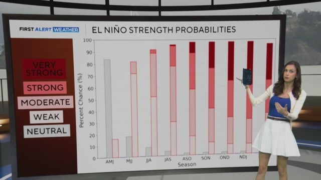 El Nino strength probabilities shown on a bar graph 