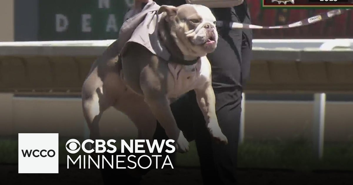 And…they're OFF at Canterbury Park!