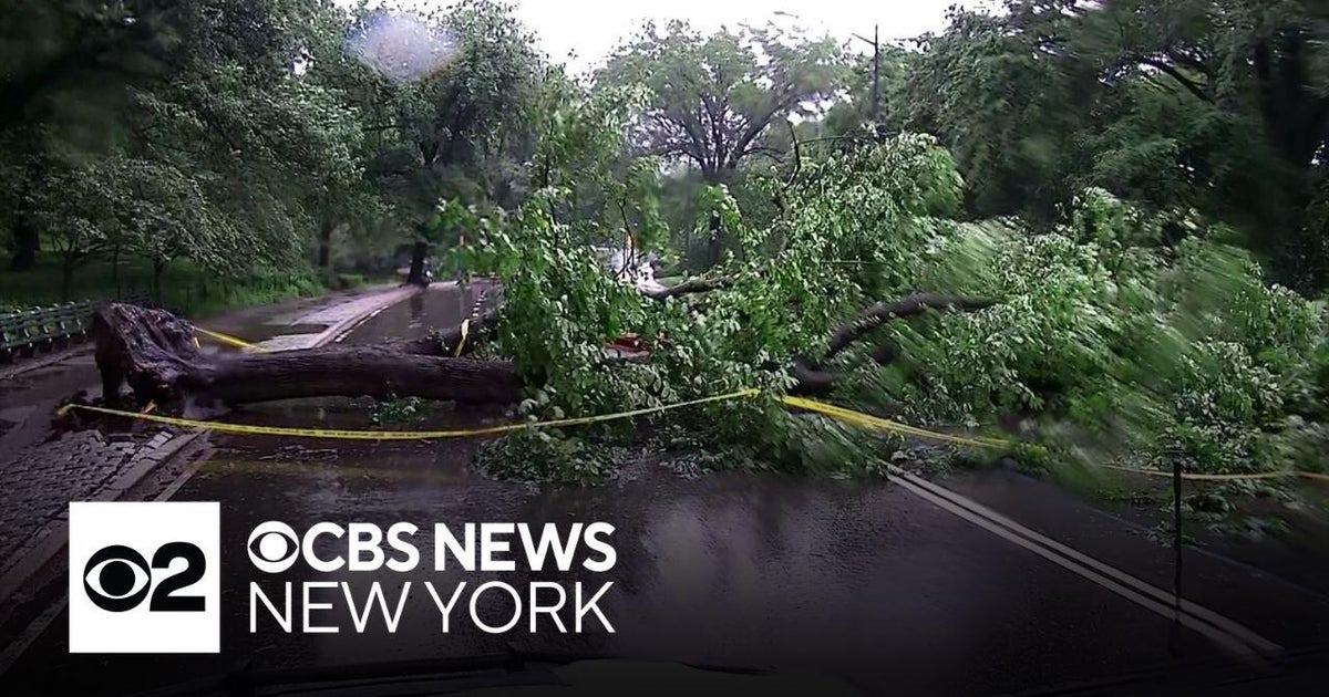 Wet weather downs trees across New York, New Jersey | Team coverage ...