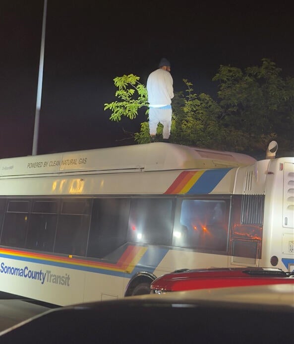 Man atop Sonoma County Transit bus